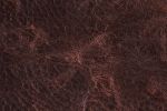 Kat2_pl_windbrown.jpg: 150px 